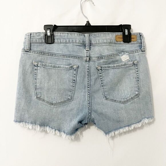 Treasure & Bond Mid Rise Relaxed Distressed Jeans Shorts Size 28 - Picture 2 of 7